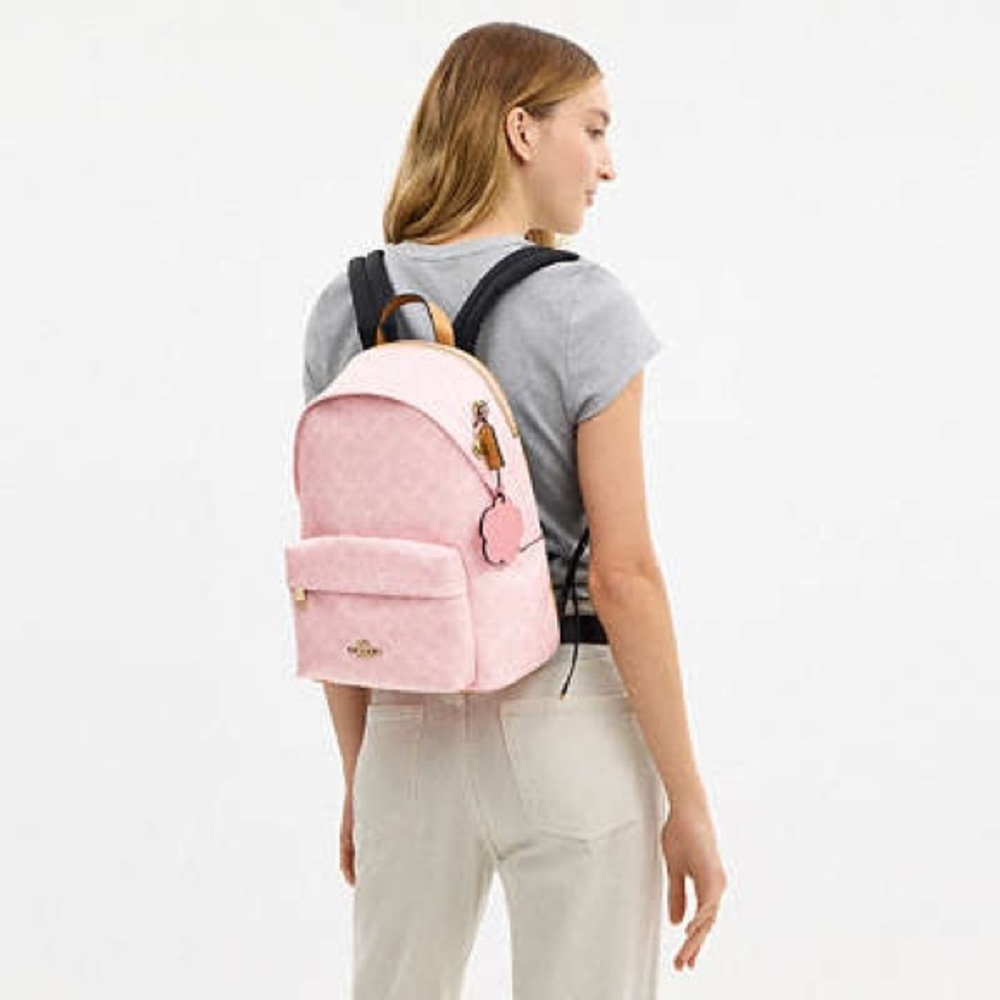 NWT Coach Pink Backpack Taylor Small Backpack 2026 drop